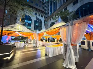 Transparent fairy light 300x225 - Transparent Canopy