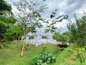 IMG 20220408 WA0071 300x225 - Transparent Canopy